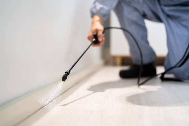 Certified termite inspector examining foundation in Holiday Shores